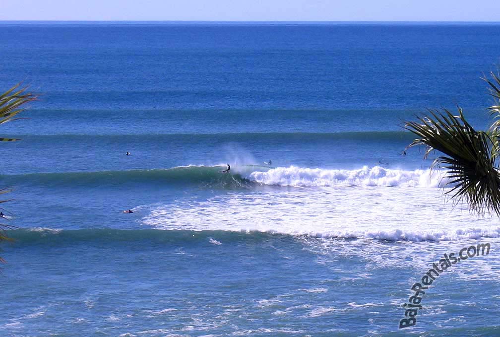 Club Marena Surf